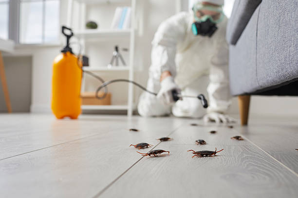 Post-Treatment Bed Bug Interceptor Monitoring in Clemson