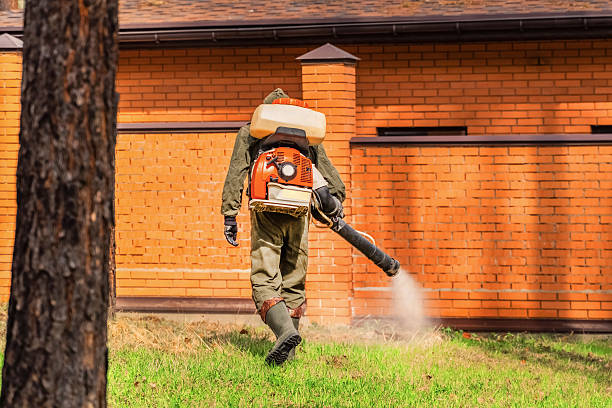 Bed Bug Clearance Verification and Documentation in Clemson